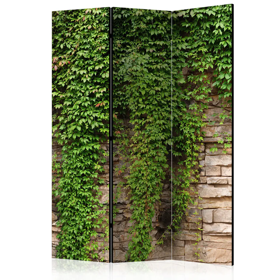 ⁨3-piece screen - Wall of ivy [Room Dividers] (size 135x172)⁩ at Wasserman.eu