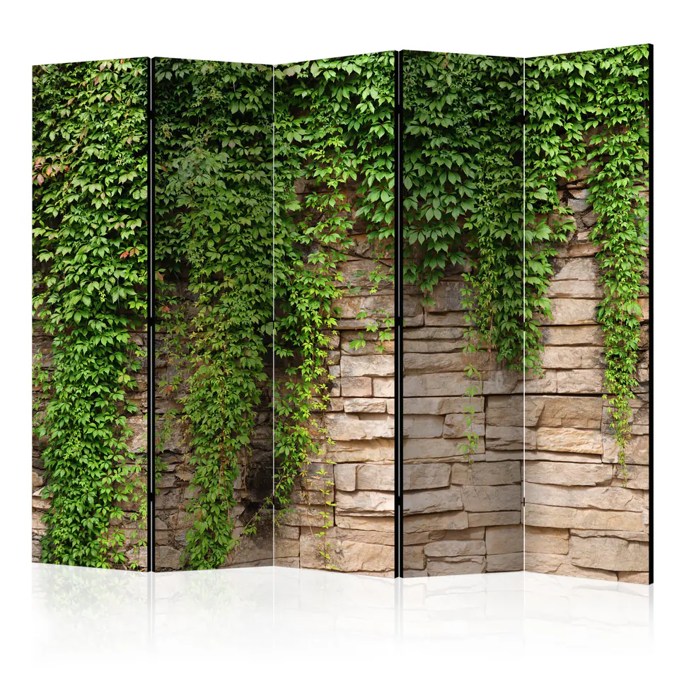 ⁨5-piece screen - Ivy Wall II [Room Dividers] (size 225x172)⁩ at Wasserman.eu