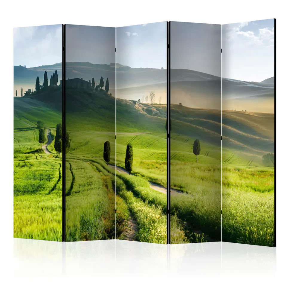 ⁨5-piece screen - Morning in the countryside II [Room Dividers] (size 225x172)⁩ at Wasserman.eu