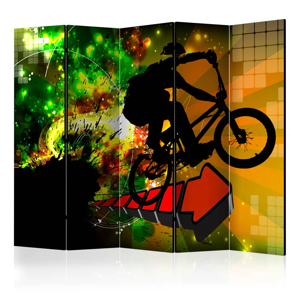 ⁨5-piece screen - Bicycle evolutions II [Room Dividers] (size 225x172)⁩ at Wasserman.eu