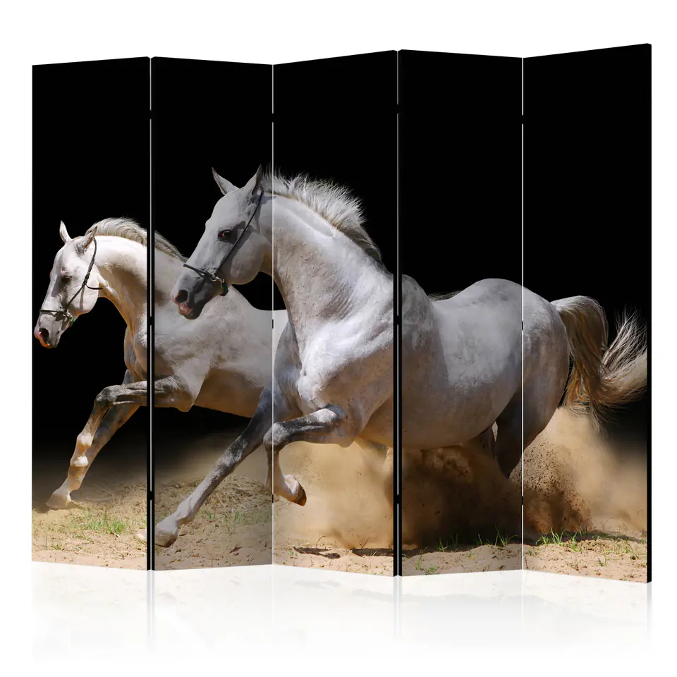 ⁨5-piece screen - Gallop on the sand II [Room Dividers] (size 225x172)⁩ at Wasserman.eu