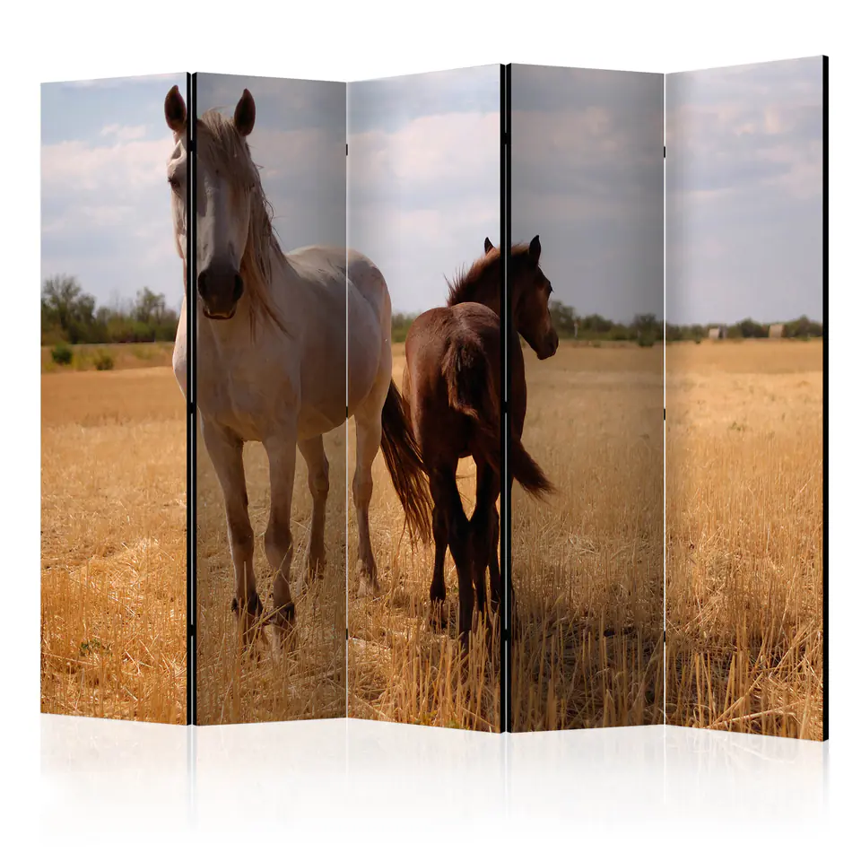 ⁨5-piece screen - Horse and foal II [Room Dividers] (size 225x172)⁩ at Wasserman.eu