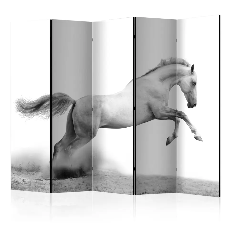 ⁨5-piece screen - White gallop II [Room Dividers] (size 225x172)⁩ at Wasserman.eu