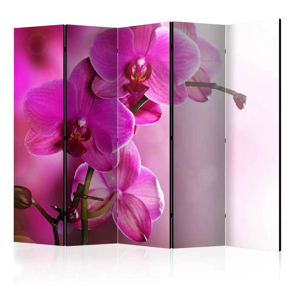 ⁨5-piece screen - Pink orchid II [Room Dividers] (size 225x172)⁩ at Wasserman.eu