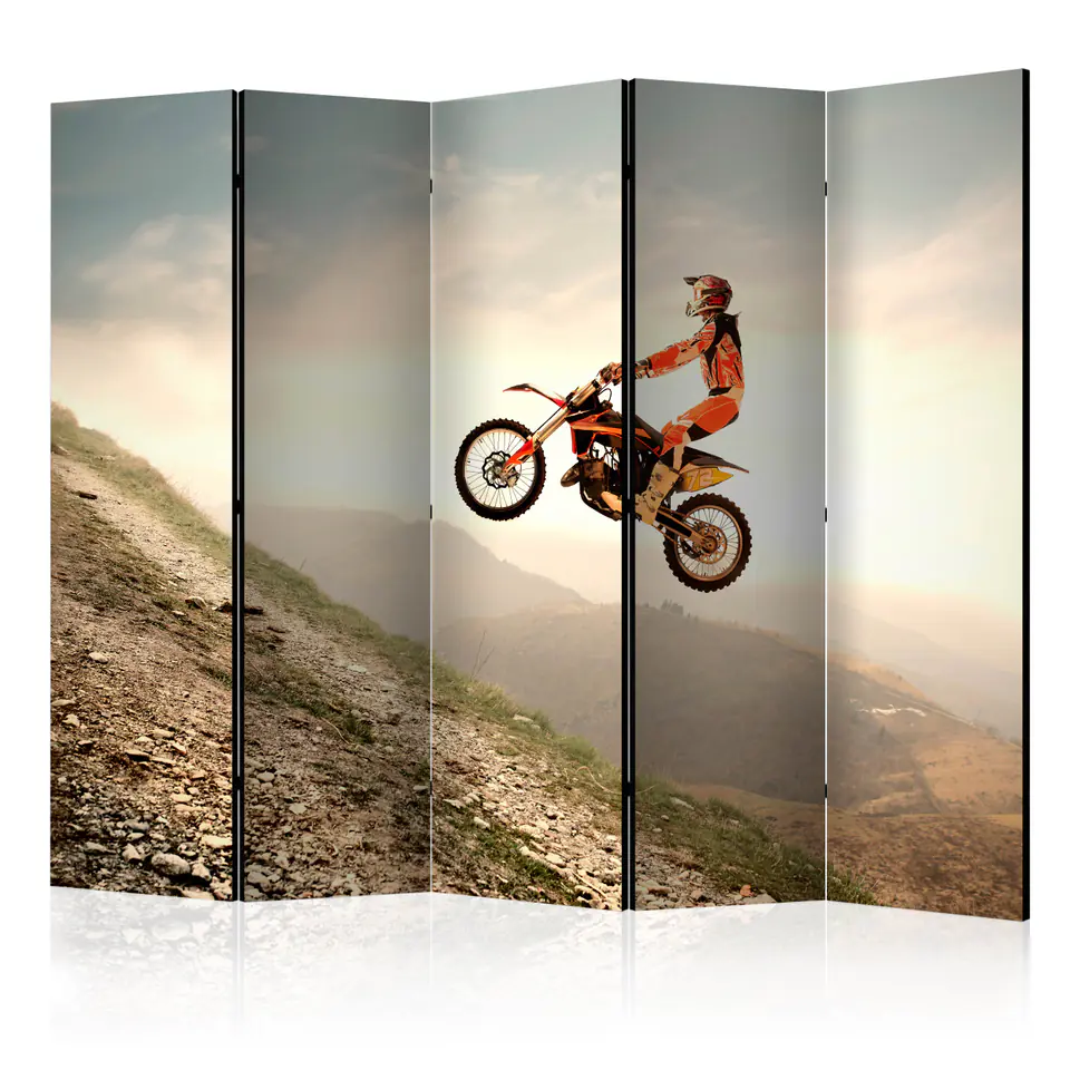 ⁨Parawan - Sport motorowy II [Room Dividers] (rozmiar 225x172, wykończenie Akustyczny)⁩ w sklepie Wasserman.eu