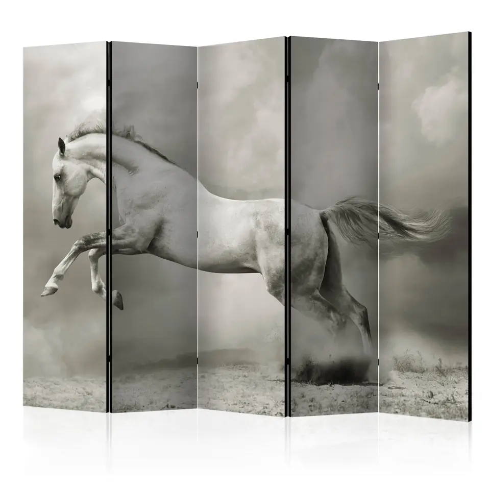 ⁨5-piece screen - Wild stallion II [Room Dividers] (size 225x172)⁩ at Wasserman.eu
