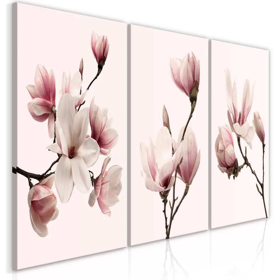 ⁨Picture - Spring magnolias (3-piece) (size 60x30)⁩ at Wasserman.eu