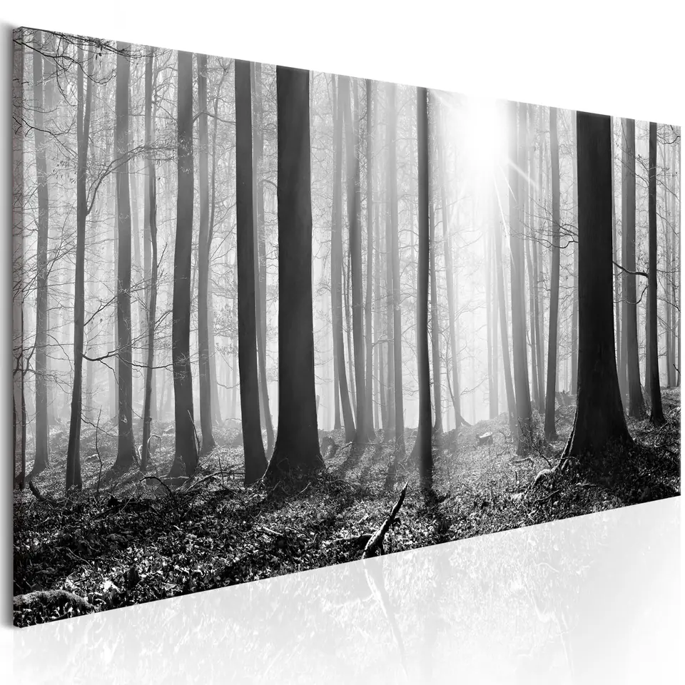 ⁨Painting - Black and White Forest (size 150x50)⁩ at Wasserman.eu