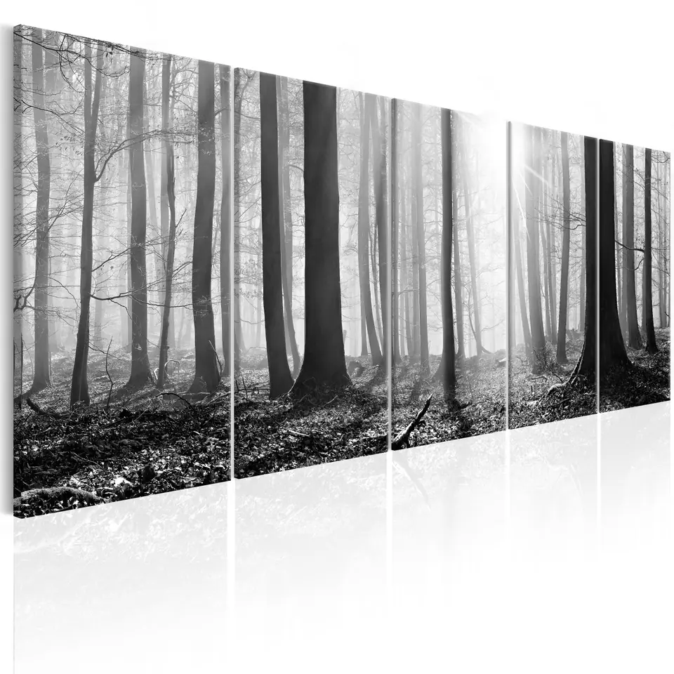 ⁨Image - Monochrome forest (size 200x80)⁩ at Wasserman.eu