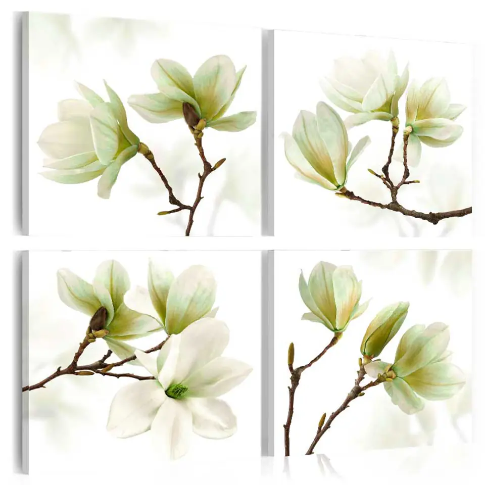 ⁨Obraz - Podziw magnolii (rozmiar 90x90, wykończenie Standard)⁩ w sklepie Wasserman.eu