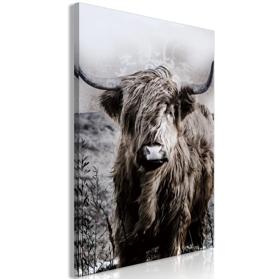 ⁨Picture - Scottish bull in sepia (size 40x60)⁩ at Wasserman.eu