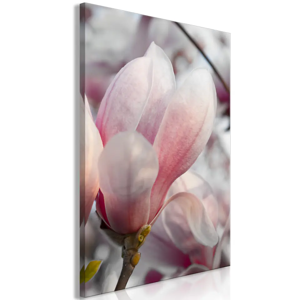 ⁨Obraz - Zwiastun wiosny (1-częściowy) pionowy (rozmiar 40x60, wykończenie Premium Print)⁩ w sklepie Wasserman.eu