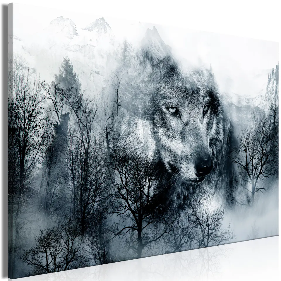 ⁨Image - Predator from the mountains (1-piece) wide black and white (size 90x60)⁩ at Wasserman.eu