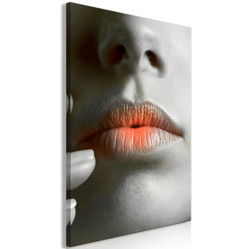 ⁨Obraz - Gorące usta (1-częściowy) pionowy (rozmiar 40x60, wykończenie Premium Print)⁩ w sklepie Wasserman.eu