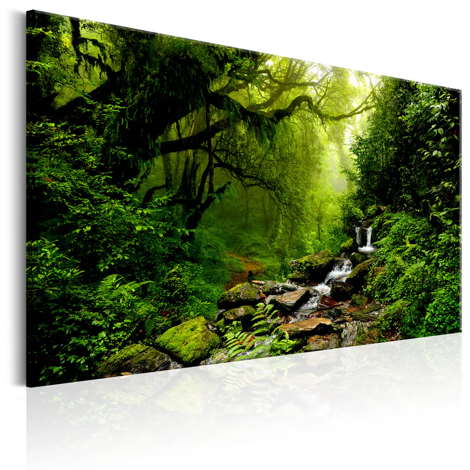 ⁨Picture - Waterfall in the forest (size 90x60)⁩ at Wasserman.eu