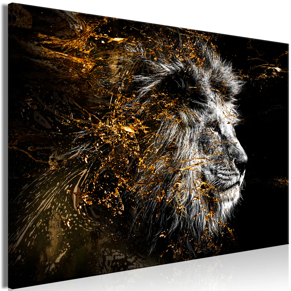 ⁨Picture - Sun King (1-piece) wide (size 60x40)⁩ at Wasserman.eu