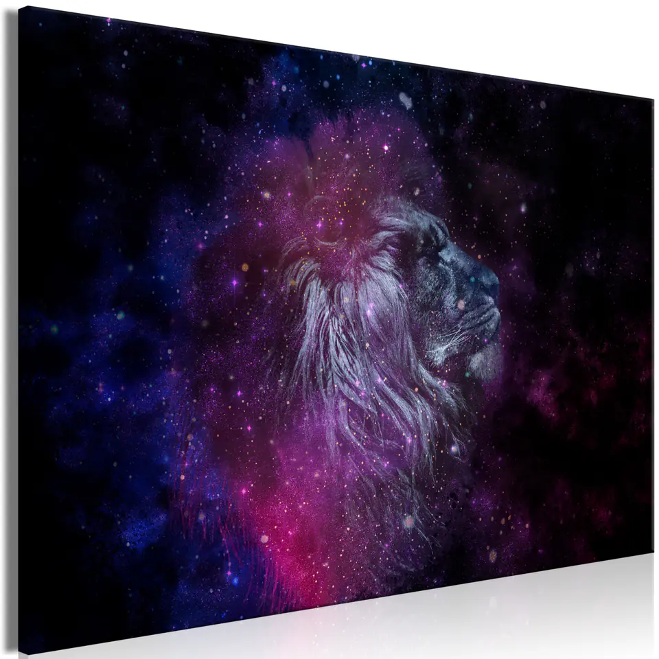 ⁨Image - Space lion (1-part) wide (size 120x80)⁩ at Wasserman.eu