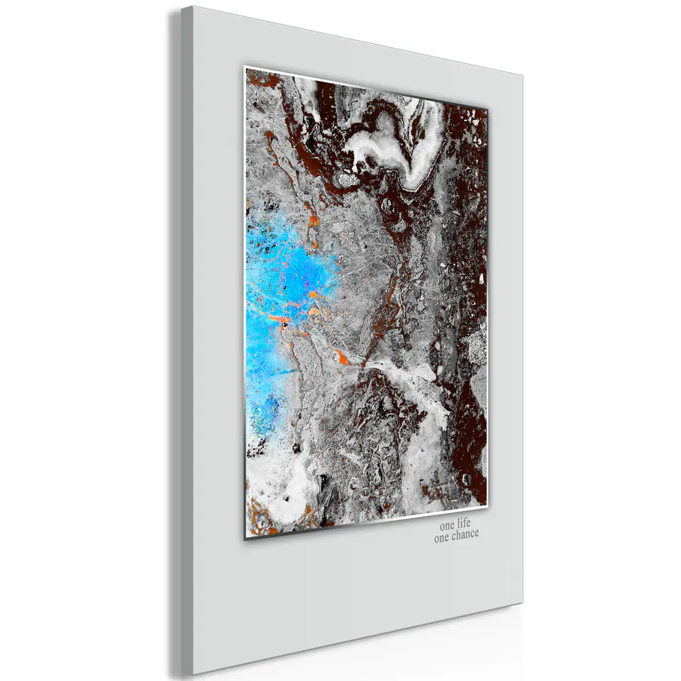 ⁨Obraz - One Life - One Chance (1-częściowy) pionowy (rozmiar 80x120, wykończenie Premium Print)⁩ w sklepie Wasserman.eu