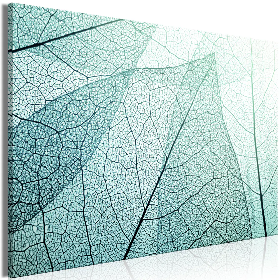 ⁨Image - Macro flora (1-piece), wide (size 60x40)⁩ at Wasserman.eu