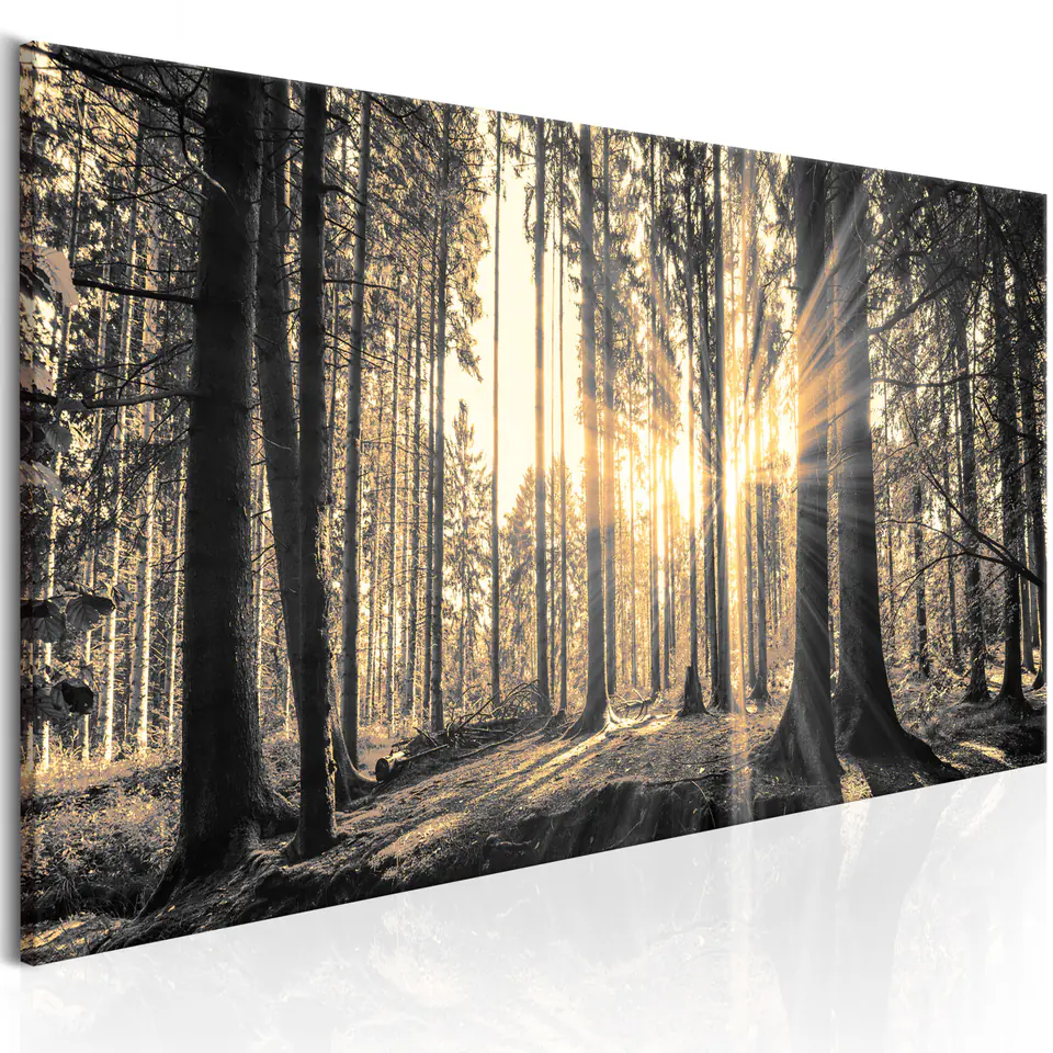 ⁨Painting - Forest Sun (size 150x50)⁩ at Wasserman.eu