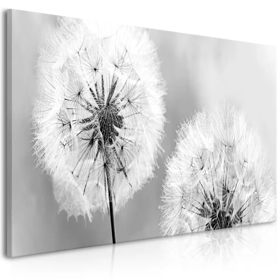 Picture - Fluffy Dandelions (1-piece) Grey Wide (size 100x45) at Wasserman.eu