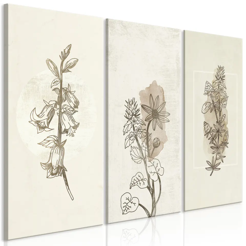 ⁨Picture - Herbarium (3-piece) (size 90x60)⁩ at Wasserman.eu