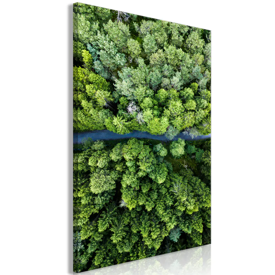 ⁨Picture - Road through the forest (1-piece) vertical (size 40x60)⁩ at Wasserman.eu