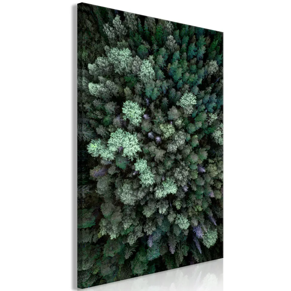 ⁨Picture - Flight over the forest (1-piece), vertical (size 40x60)⁩ at Wasserman.eu