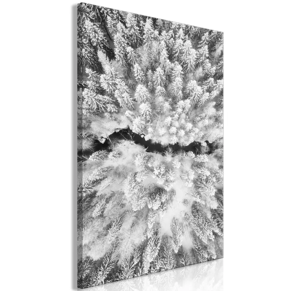 ⁨Image - Cold Jet (1-piece), vertical (size 40x60)⁩ at Wasserman.eu