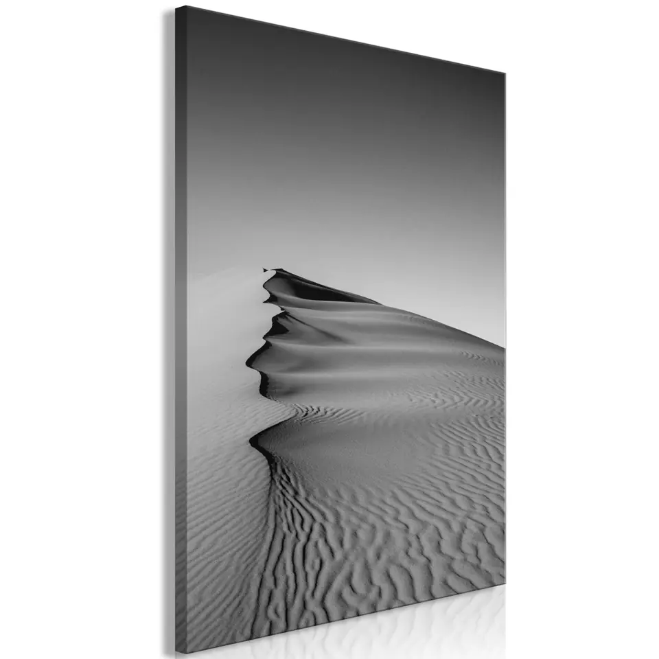 ⁨Picture - Desert (1-piece) vertical (size 40x60)⁩ at Wasserman.eu