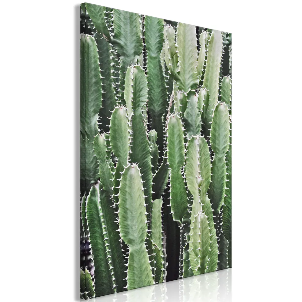 ⁨Picture - Cactus garden (1-piece), vertical (size 40x60)⁩ at Wasserman.eu
