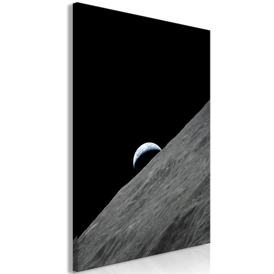 ⁨Obraz - Samotna planeta (1-częściowy) pionowy (rozmiar 80x120, wykończenie Premium Print)⁩ w sklepie Wasserman.eu