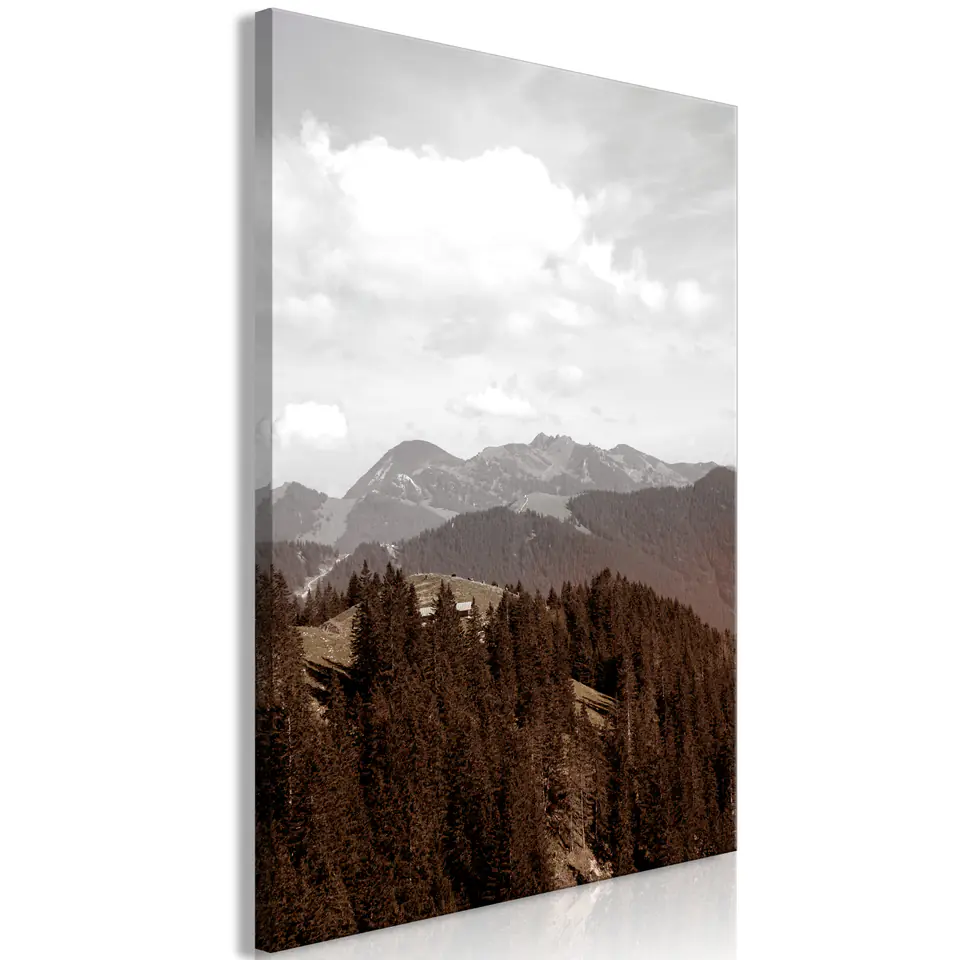 ⁨Obraz - Krajobraz (1-częściowy) pionowy (rozmiar 40x60, wykończenie Premium Print)⁩ w sklepie Wasserman.eu