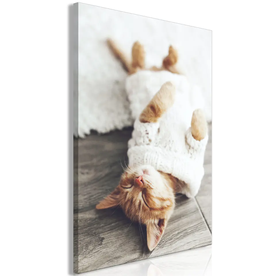 ⁨Picture - Lazy cat (1-piece) vertical (size 40x60)⁩ at Wasserman.eu