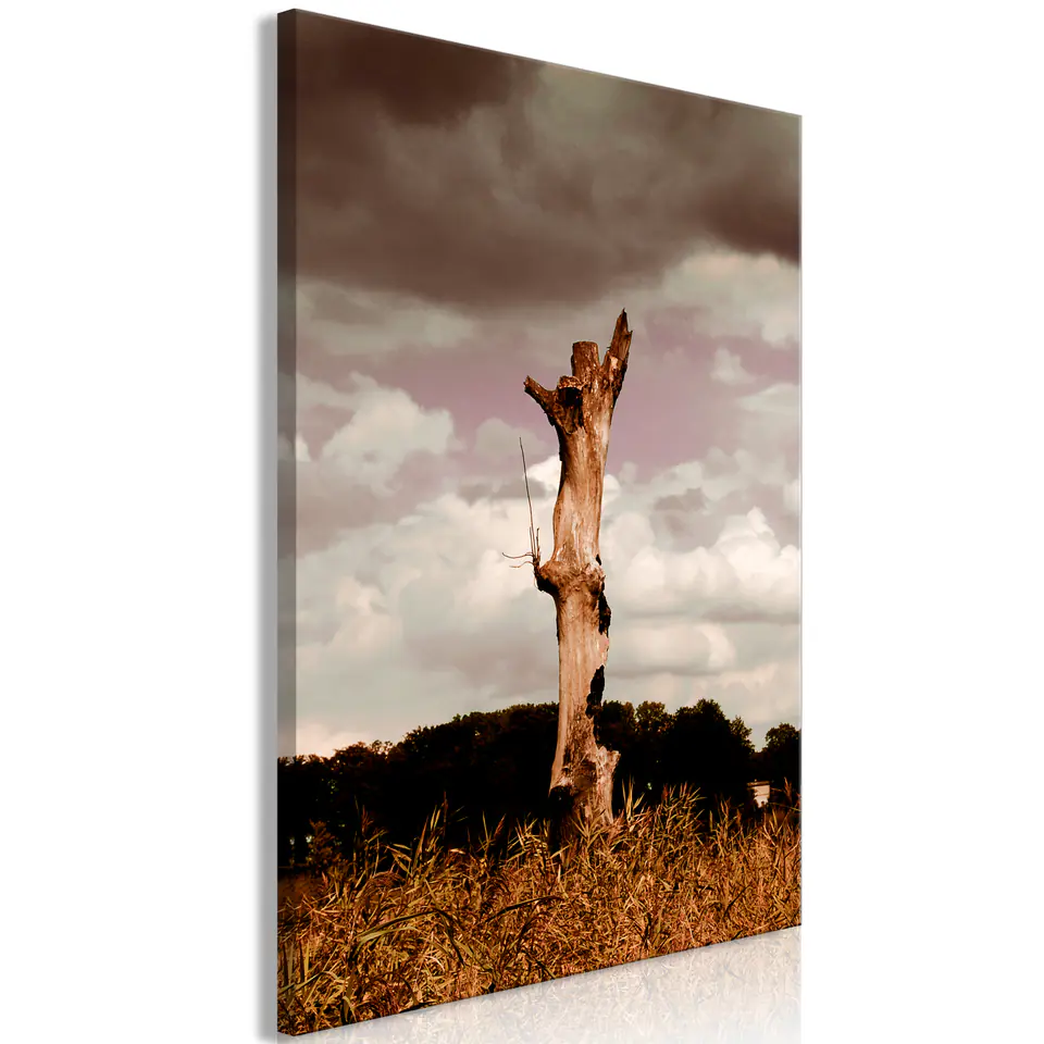 ⁨Picture - Memory of the Sky (1-piece), vertical (size 40x60)⁩ at Wasserman.eu