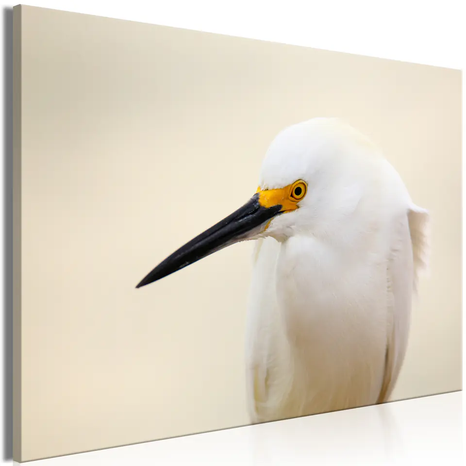 ⁨Obraz - Czapla śnieżna (1-częściowy) szeroki (rozmiar 90x60, wykończenie Premium Print)⁩ w sklepie Wasserman.eu