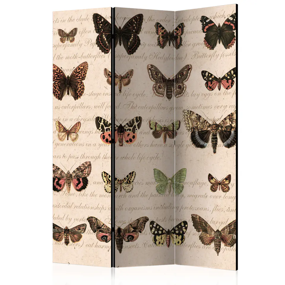 ⁨3-piece screen - Retro style: Butterflies [Room Dividers] (size 135x172)⁩ at Wasserman.eu