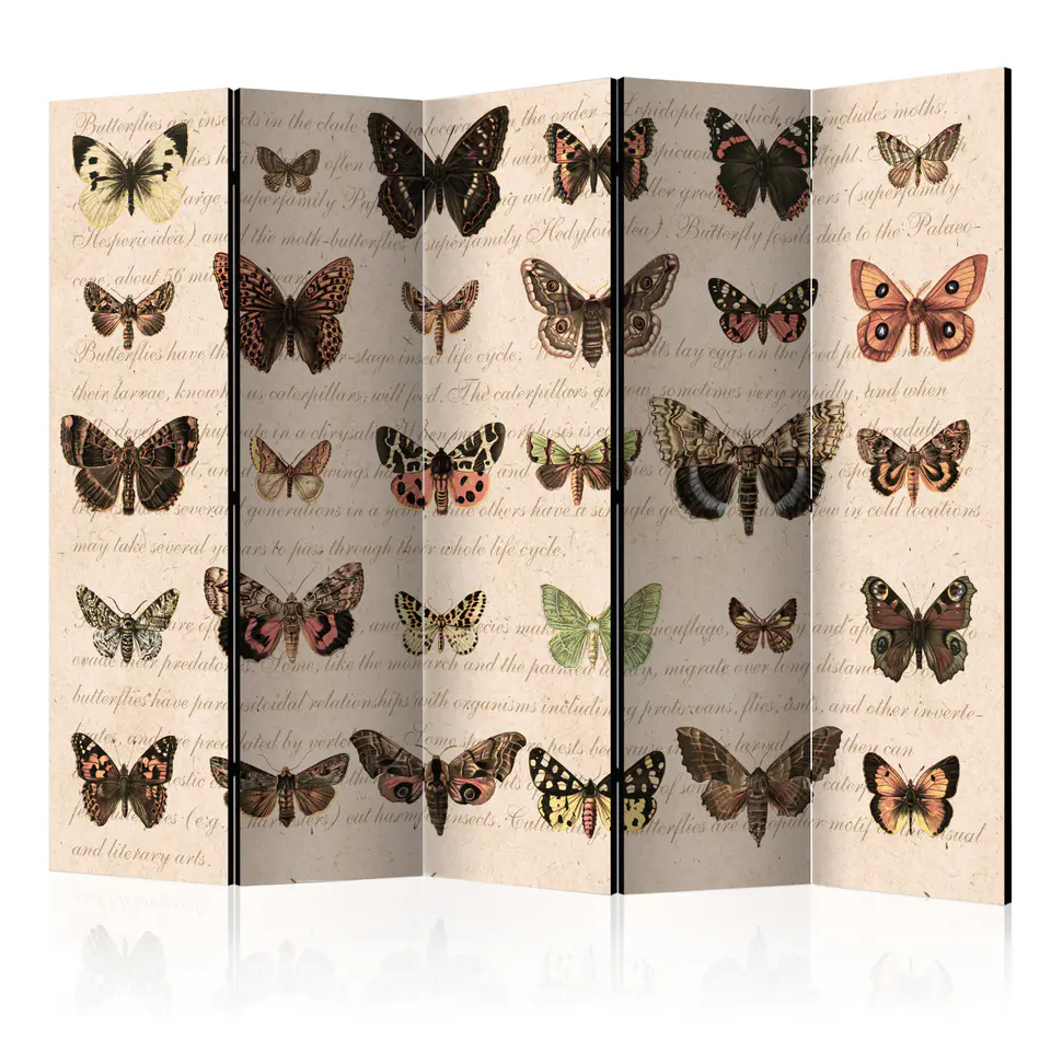 ⁨5-piece screen - Retro style: Butterflies II [Room Dividers] (size 225x172)⁩ at Wasserman.eu