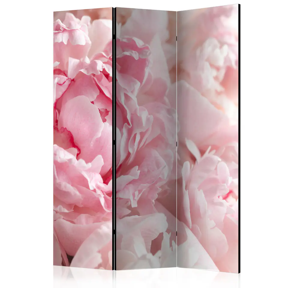 ⁨3-piece screen - Sweet peonies [Room Dividers] (size 135x172)⁩ at Wasserman.eu