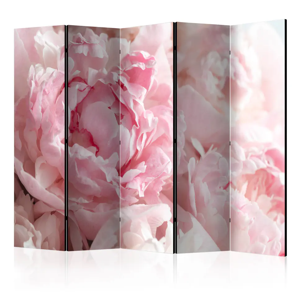 ⁨5-piece screen - Sweet peonies II [Room Dividers] (size 225x172)⁩ at Wasserman.eu