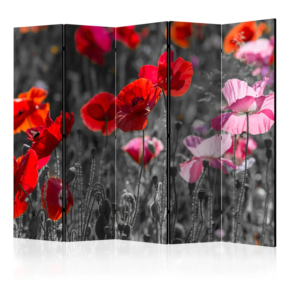 ⁨5-piece screen - Red Poppies II [Room Dividers] (size 225x172)⁩ at Wasserman.eu