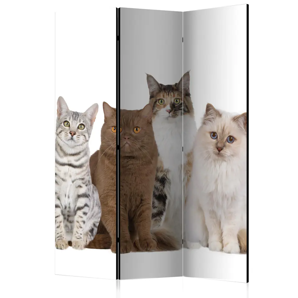 ⁨Screen 3-piece - Cute cats [Room Dividers] (size 135x172)⁩ at Wasserman.eu