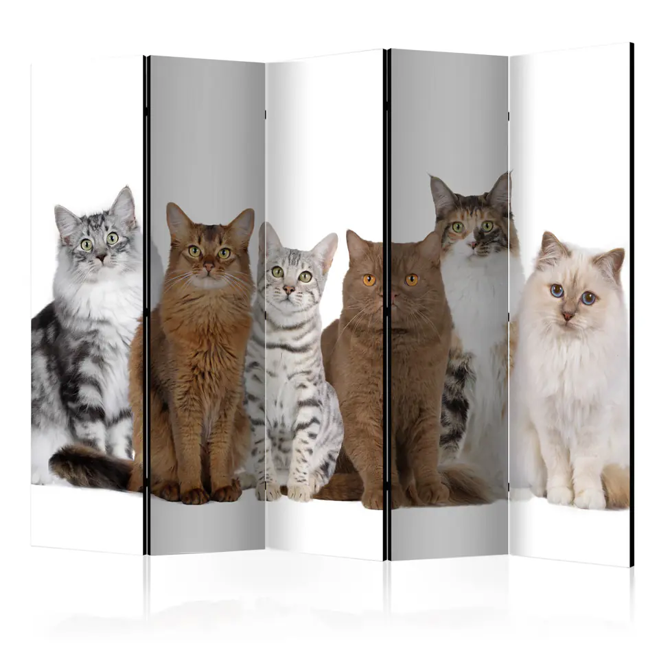 ⁨Screen 5-piece - Cute cats II [Room Dividers] (size 225x172)⁩ at Wasserman.eu