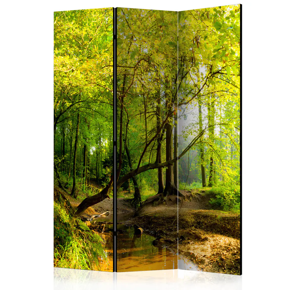 ⁨Parawan - Leśna polana [Room Dividers] (rozmiar 135x172, wykończenie Dwustronny)⁩ w sklepie Wasserman.eu