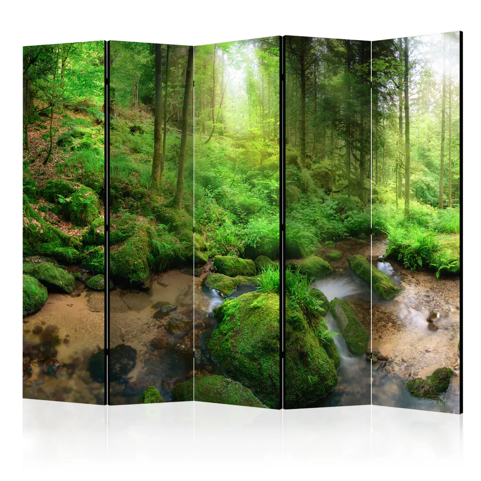 ⁨5-piece screen - Moist Forest II [Room Dividers] (size 225x172)⁩ at Wasserman.eu