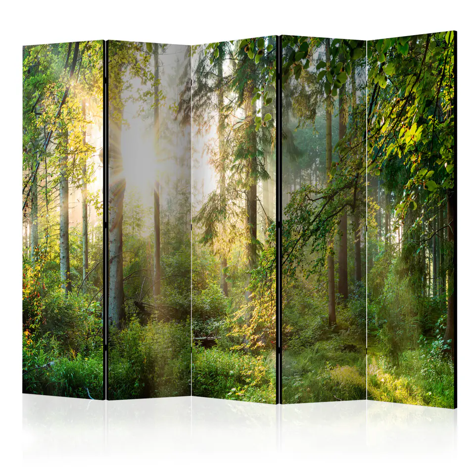 ⁨5-piece screen - Untamed nature II [Room Dividers] (size 225x172)⁩ at Wasserman.eu