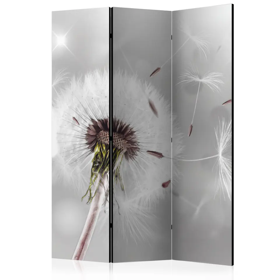 ⁨Parawan - Uchwycić to co ulotne [Room Dividers] (rozmiar 135x172, wykończenie Dwustronny)⁩ w sklepie Wasserman.eu