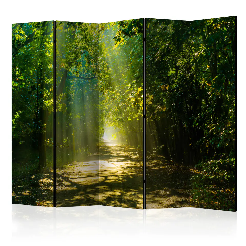 ⁨5-piece screen - Road in the sun II [Room Dividers] (size 225x172)⁩ at Wasserman.eu