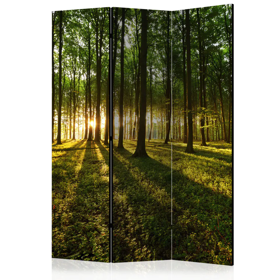 ⁨3-piece screen - Morning in the forest [Room Dividers] (size 135x172)⁩ at Wasserman.eu