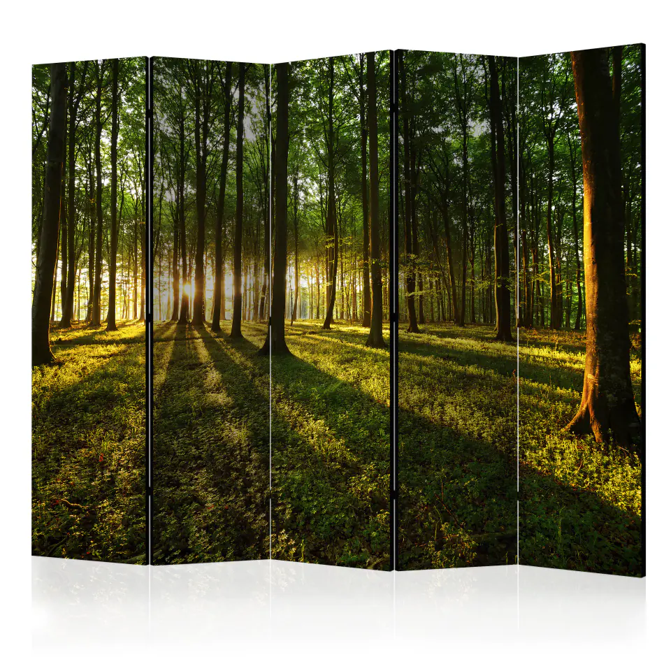 ⁨5-piece screen - Morning in the forest II [Room Dividers] (size 225x172)⁩ at Wasserman.eu